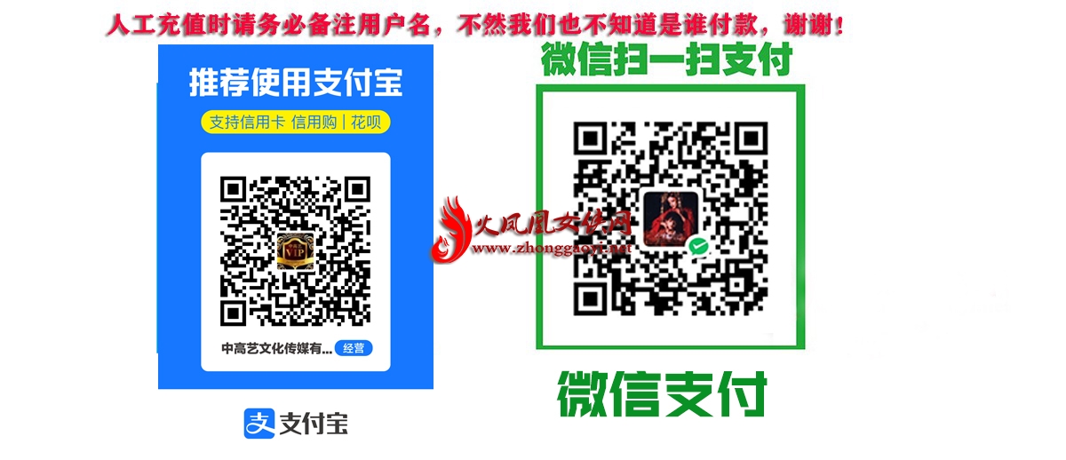 官网人工支付充值.jpg