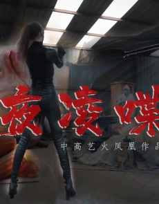 �и��ջ���˽�˶��ơ�ҹ���Ѫ��������Ƶ������߹ۿ�